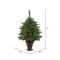 3.5ft. Pre-Lit Cashmere Pine Artificial Christmas Tree, Clear LED Lights